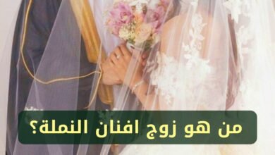 من هو زوج افنان النملة