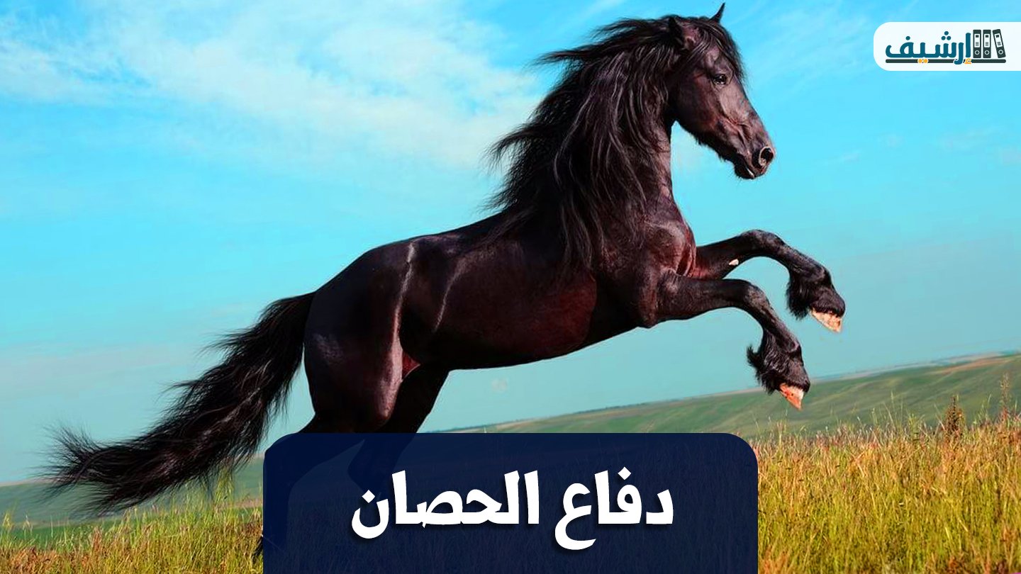 كيف يدافع الحصان عن نفسه