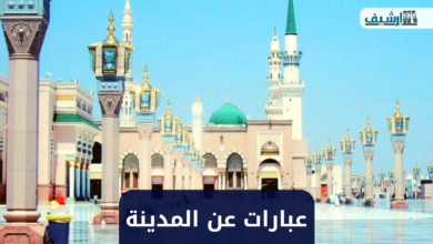 عبارات عن المدينة المنورة قصيرة 2022