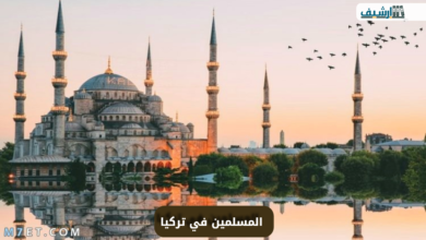 كم يبلغ عدد سكان تركيا المسلمين