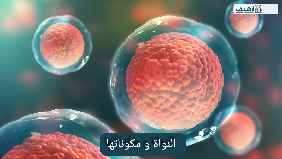 بحث عن النواة ومكوناتها في الفيزياء pdf