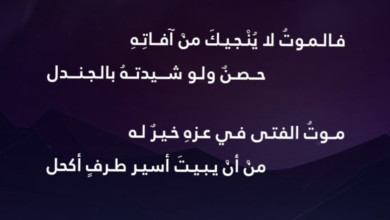 حكم سيوفك في رقاب العذل شرح