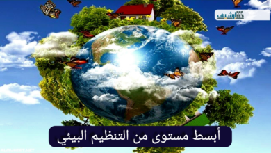 أبسط مستوى من التنظيم البيئي
