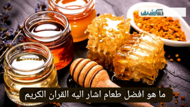 ما هو افضل طعام اشار اليه القران الكريم
