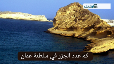 كم عدد الجزر في سلطنة عمان