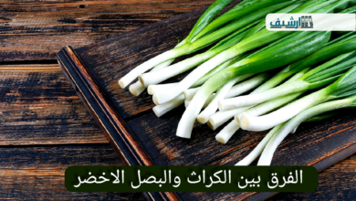 الفرق بين الكراث والبصل الاخضر