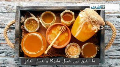 ما الفرق بين عسل مانوكا والعسل العادي