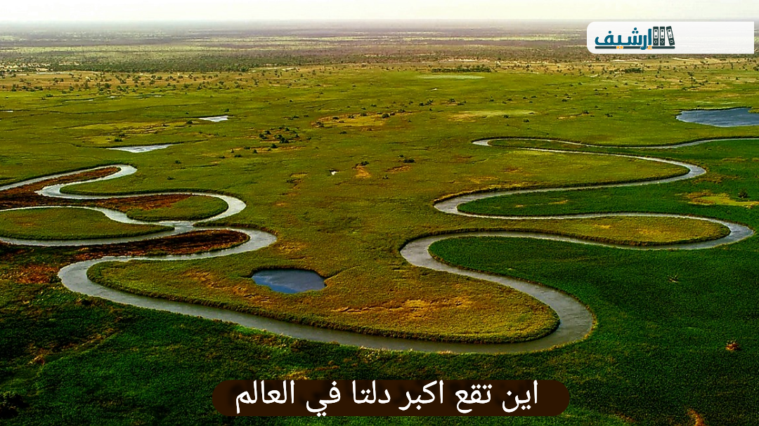 اين تقع اكبر دلتا في العالم