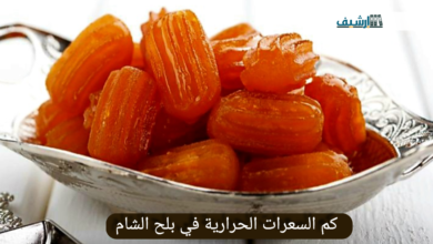 كم السعرات الحرارية في بلح الشام